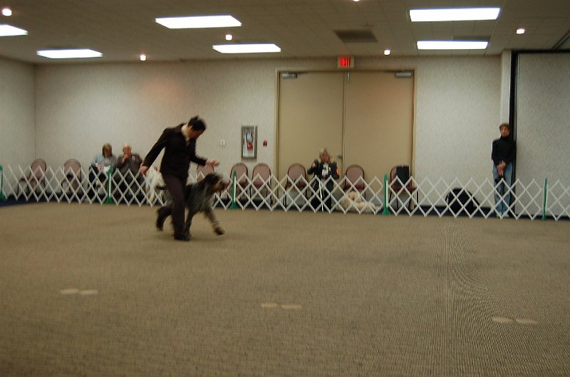 00_117.JPG
