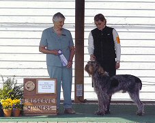 Littermate brother CH McPhersons Classic Patterns CD, RN : Reserve Winners Dog at 2006 Specialty