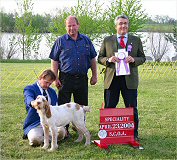 brother Risky Business Kowboy Reserve Winners Dog at 2004 Specialty