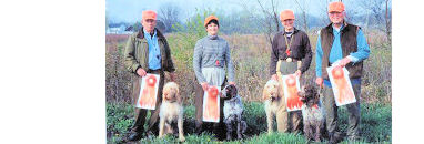 First Spinone Master Hunters