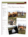 spinone newsletter december 2008