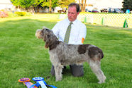 2010 National Specialty Best of Breed:
    Couchfields Fare Salti di Gioia