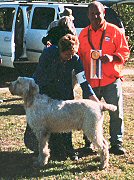 Rufus Best of Breed 2003 National Specialty
