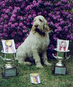 Rufus with the Rufus Cup & the Kemo Cup